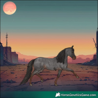 Horse Color:Liver Red Roan 