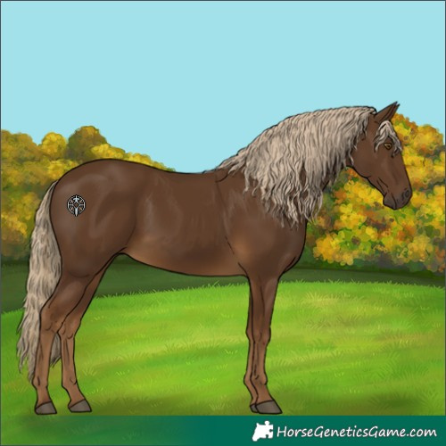 Horse Color:Chocolate Palomino 