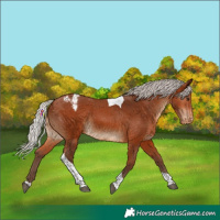 Horse Color:Silver Brown Tobiano Varnish 