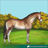 Horse Color:Bay Onyx 
