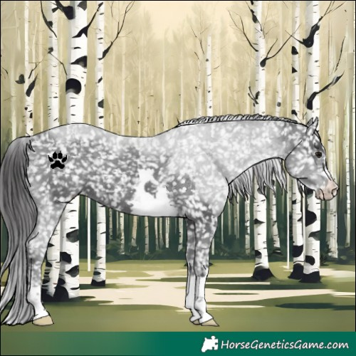 Horse Color:Black Snowflake Varnish