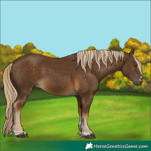 Horse Color:Chocolate Palomino 