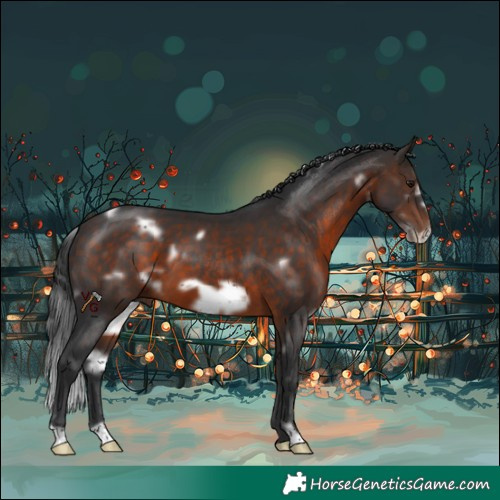 Horse Color:White Spotted Bay Frame 