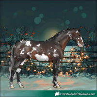 Horse Color:White Spotted Bay Frame