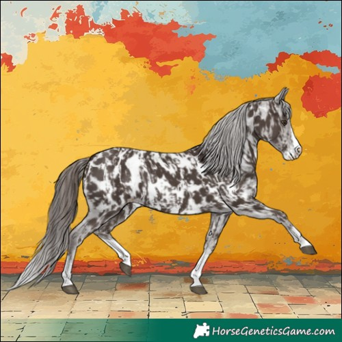 Horse Color:Liver Chestnut Sabino Splash Near Leopard and Liver Chestnut Sabino Splash Near Leopard