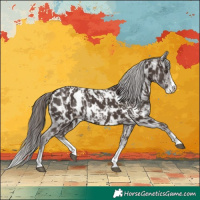 Horse Color:Liver Chestnut Sabino Splash Appaloosa  and Liver Chestnut Sabino Splash Appaloosa 