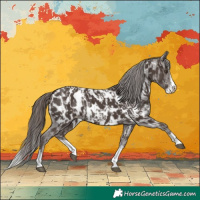 Horse Color:Liver Chestnut Sabino Splash Appaloosa and Liver Chestnut Sabino Splash Appaloosa