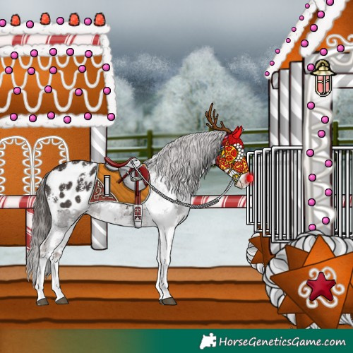 Horse Color:Liver Chestnut Sabino Splash Blanket and Liver Chestnut Sabino Splash Blanket Rabicano