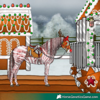 Horse Color:Liver Chestnut Sabino Splash Appaloosa  and Liver Chestnut Sabino Splash Appaloosa Rabicano 