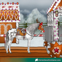 Horse Color:Liver Chestnut Sabino Splash Appaloosa  and Liver Chestnut Sabino Splash Appaloosa Rabicano 