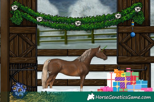 Horse Color:Chocolate Palomino 