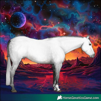 Horse Color:Gray Buckskin Sabino 