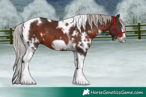 Horse Color:White Spotted Silver Brown Tobiano Frame 