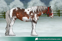 Horse Color:White Spotted Silver Brown Tobiano Frame