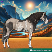 Horse Color:Liver Chestnut Sabino Splash Varnish  and Liver Red Dun Sabino Splash Varnish 