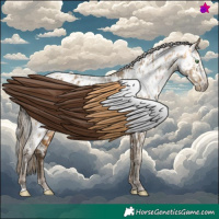 Horse Color:Amber Cream Champagne Appaloosa  and Gray Amber Cream Champagne Appaloosa 