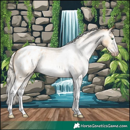 Horse Color:Gray Silver Amber Cream Champagne Roan Dun Splash Tobiano Frame Varnish Rabicano