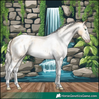 Horse Color:Gray Silver Amber Cream Champagne Roan Dun Splash Tobiano Frame Varnish Rabicano 