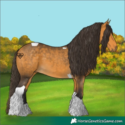 Horse Color:Buckskin Tobiano 