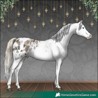 Horse Color:Liver Chestnut Sabino Splash Appaloosa  and Chocolate Palomino Sabino Splash Appaloosa 