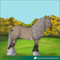 Horse Color:Silver Brown Dun Tobiano 