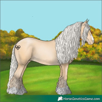 Horse Color:Silver Buckskin Pearl 
