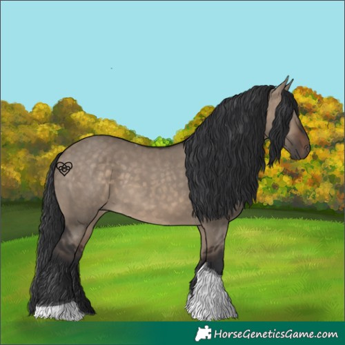 Horse Color:Brown Dun Tobiano 