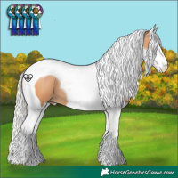 Horse Color:Silver Bay Pearl Splash Tobiano 