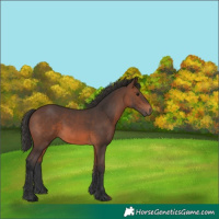Horse Color:Brown 