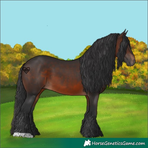 Horse Color:Brown 