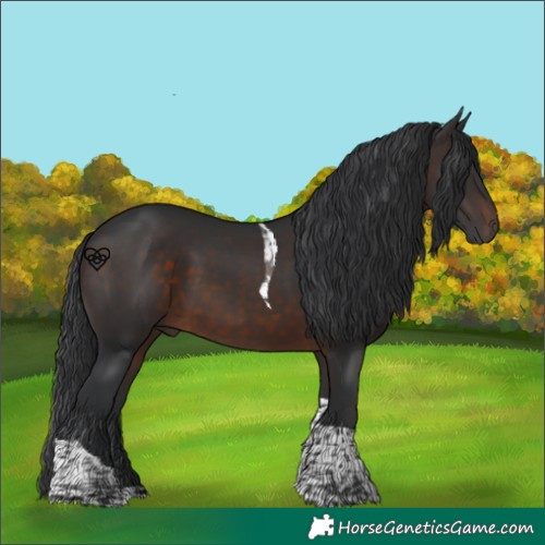 Horse Color:Brown Tobiano 