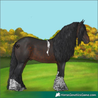 Horse Color:Brown Tobiano 
