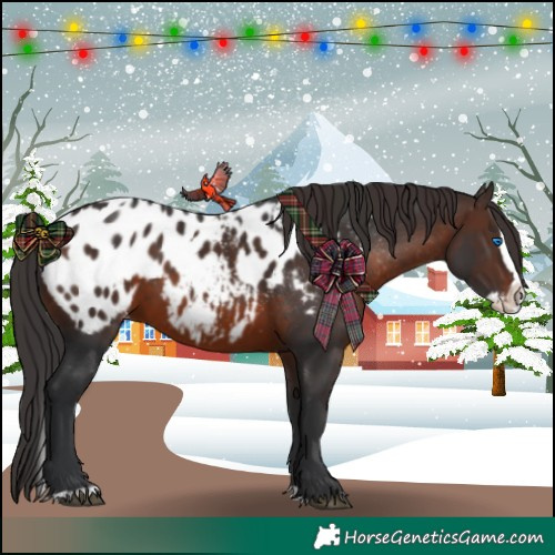 Horse Color:Brown Sabino Splash Blanket and Brown Sabino Splash Blanket Rabicano