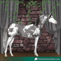 Horse Color:White Spotted Liver Red Roan Splash