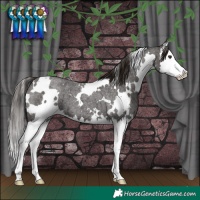 Horse Color:White Spotted Liver Red Roan Splash 