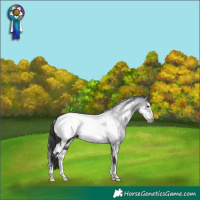Horse Color:White Spotted Black Sabino Frame Appaloosa 