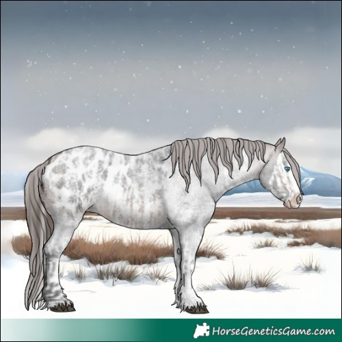 Horse Color:Brown Roan Sabino Splash Blanket  and Brown Roan Sabino Splash Blanket 