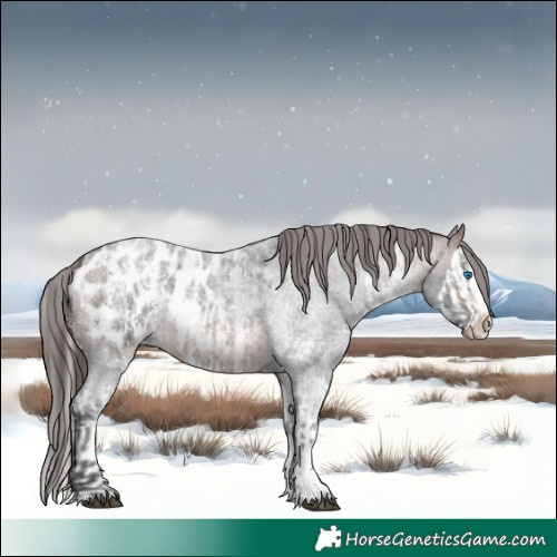 Horse Color:Brown Roan Sabino Splash Appaloosa  and Brown Roan Sabino Splash Appaloosa 