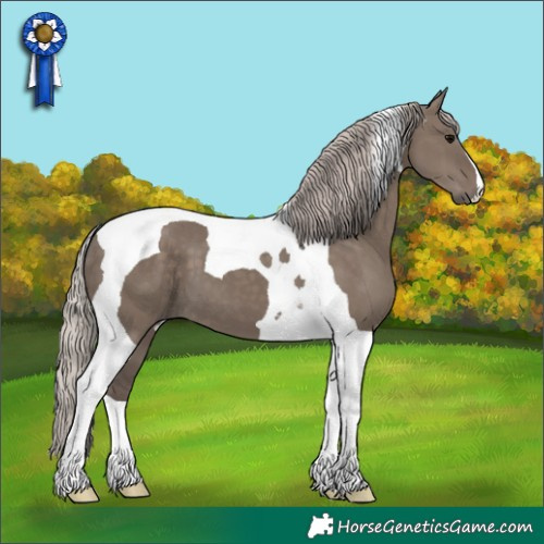 Horse Color:Silver Grullo Tobiano 