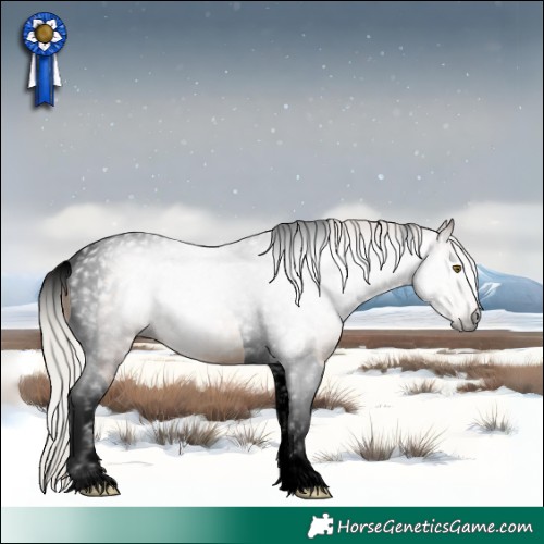 Horse Color:Gray Void Silver Brown Pearl Tobiano 