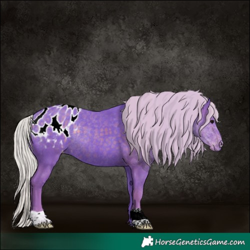 Horse Color:Watercolor Silver Black Appaloosa Rabicano 