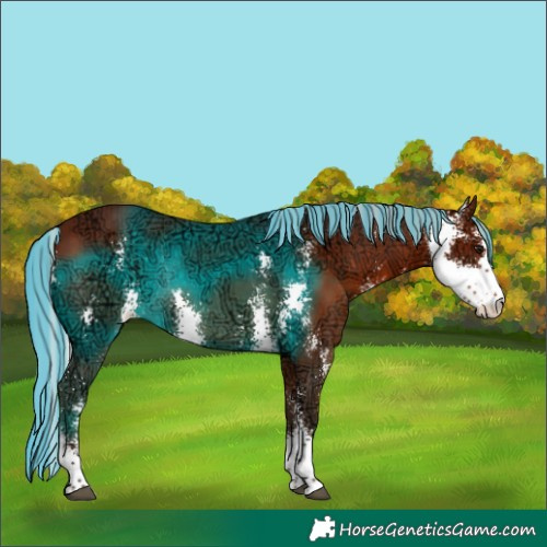 Horse Color:Painted Silver Brown Ice Sabino Rabicano 