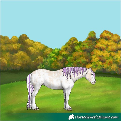Horse Color:Painted Silver Classic Champagne Dun Sabino Rabicano 