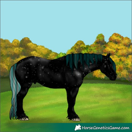 Horse Color:Void Painted Watercolor Midnight Silver Brown Dun Sabino Splash 