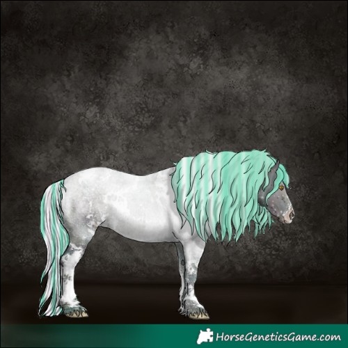 Horse Color:Painted Watercolor White Spotted Midnight Silver Sable Champagne Sabino 