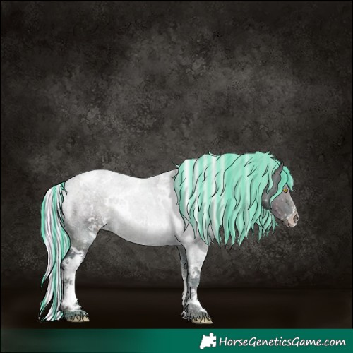 Horse Color:Painted Watercolor White Spotted Midnight Silver Sable Champagne Sabino 