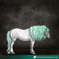 Horse Color:Painted Watercolor White Spotted Midnight Silver Sable Champagne Sabino 