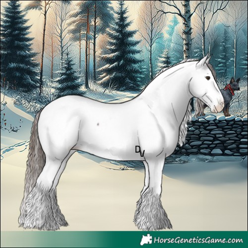 Horse Color:White Spotted Liver Chestnut Splash Appaloosa 