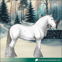 Horse Color:White Spotted Liver Chestnut Splash Appaloosa 