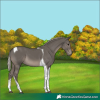 Horse Color:Silver Black Tobiano 